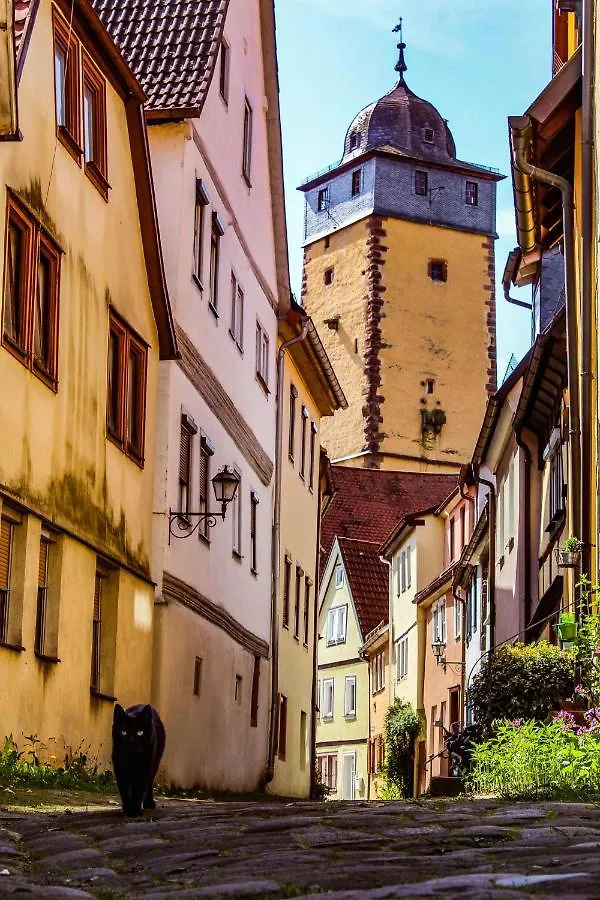 Weekly Boardinghouse Aparthotel Lohr Alemanha
